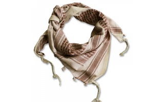 mt-12615000_1319580751