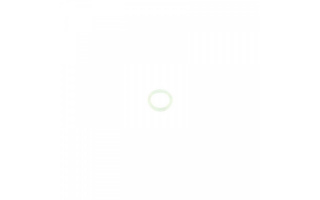 o-ring-cm-11-valvola-kp05-kp06-kp08-kp11-co2-kjw